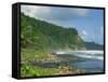 Rugged Coastline with Black Laval Sand Beach, Dominica, Windward Islands, West Indies, Caribbean-Murray Louise-Framed Stretched Canvas