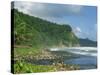 Rugged Coastline with Black Laval Sand Beach, Dominica, Windward Islands, West Indies, Caribbean-Murray Louise-Stretched Canvas