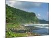 Rugged Coastline with Black Laval Sand Beach, Dominica, Windward Islands, West Indies, Caribbean-Murray Louise-Mounted Photographic Print