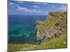 Rugged North Cornwall Coastline at Hell's Mouth Bay, Hudder Down, Cornwall, England-Neale Clark-Mounted Photographic Print