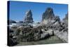 Rugged Sea Stacks Near Haystack Rock at Cannon Beach, Oregon-Greg Probst-Stretched Canvas