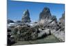 Rugged Sea Stacks Near Haystack Rock at Cannon Beach, Oregon-Greg Probst-Mounted Photographic Print