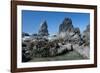 Rugged Sea Stacks Near Haystack Rock at Cannon Beach, Oregon-Greg Probst-Framed Photographic Print