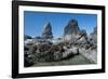 Rugged Sea Stacks Near Haystack Rock at Cannon Beach, Oregon-Greg Probst-Framed Photographic Print