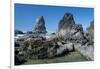 Rugged Sea Stacks Near Haystack Rock at Cannon Beach, Oregon-Greg Probst-Framed Photographic Print