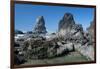 Rugged Sea Stacks Near Haystack Rock at Cannon Beach, Oregon-Greg Probst-Framed Photographic Print