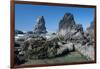 Rugged Sea Stacks Near Haystack Rock at Cannon Beach, Oregon-Greg Probst-Framed Photographic Print