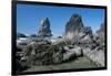 Rugged Sea Stacks Near Haystack Rock at Cannon Beach, Oregon-Greg Probst-Framed Photographic Print