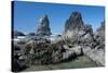 Rugged Sea Stacks Near Haystack Rock at Cannon Beach, Oregon-Greg Probst-Stretched Canvas