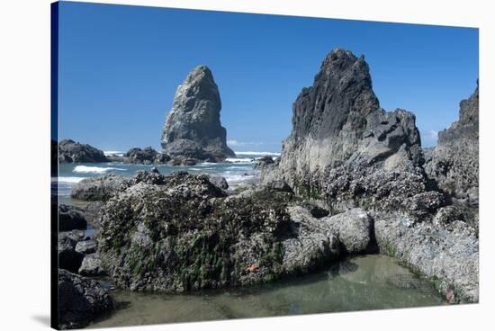 Rugged Sea Stacks Near Haystack Rock at Cannon Beach, Oregon-Greg Probst-Stretched Canvas