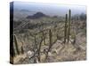 Rugged Slopes of Sabino Canyon-null-Stretched Canvas