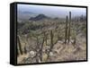 Rugged Slopes of Sabino Canyon-null-Framed Stretched Canvas