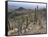 Rugged Slopes of Sabino Canyon-null-Framed Stretched Canvas