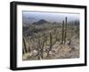 Rugged Slopes of Sabino Canyon-null-Framed Premium Photographic Print