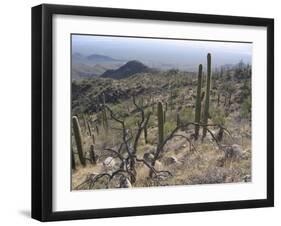 Rugged Slopes of Sabino Canyon-null-Framed Premium Photographic Print