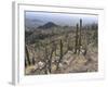 Rugged Slopes of Sabino Canyon-null-Framed Photographic Print