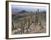 Rugged Slopes of Sabino Canyon-null-Framed Photographic Print