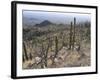 Rugged Slopes of Sabino Canyon-null-Framed Photographic Print