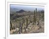 Rugged Slopes of Sabino Canyon-null-Framed Photographic Print