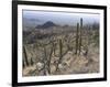 Rugged Slopes of Sabino Canyon-null-Framed Photographic Print