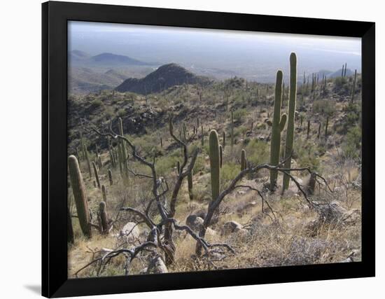 Rugged Slopes of Sabino Canyon-null-Framed Photographic Print