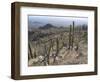 Rugged Slopes of Sabino Canyon-null-Framed Photographic Print