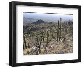 Rugged Slopes of Sabino Canyon-null-Framed Photographic Print