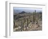 Rugged Slopes of Sabino Canyon-null-Framed Photographic Print