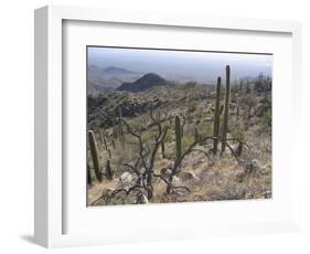 Rugged Slopes of Sabino Canyon-null-Framed Photographic Print