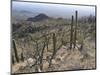 Rugged Slopes of Sabino Canyon-null-Mounted Photographic Print