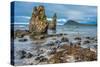 Rugged Volcanic Landscapes Along the Strandir Coast, West Fjords, Iceland-Luis Leamus-Stretched Canvas