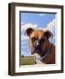 Rugger-James W. Johnson-Framed Giclee Print