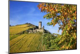 Ruin FŸrstenberg Castle Above the Town Rheindiebach Above Autumn-Coloured Vineyards-Uwe Steffens-Mounted Photographic Print