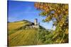 Ruin FŸrstenberg Castle Above the Town Rheindiebach Above Autumn-Coloured Vineyards-Uwe Steffens-Stretched Canvas
