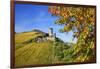 Ruin FŸrstenberg Castle Above the Town Rheindiebach Above Autumn-Coloured Vineyards-Uwe Steffens-Framed Photographic Print