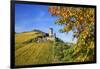 Ruin FŸrstenberg Castle Above the Town Rheindiebach Above Autumn-Coloured Vineyards-Uwe Steffens-Framed Photographic Print