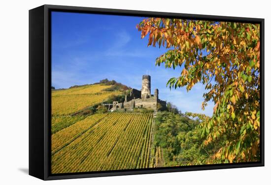 Ruin FŸrstenberg Castle Above the Town Rheindiebach Above Autumn-Coloured Vineyards-Uwe Steffens-Framed Stretched Canvas