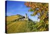 Ruin FŸrstenberg Castle Above the Town Rheindiebach Above Autumn-Coloured Vineyards-Uwe Steffens-Stretched Canvas