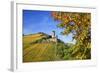 Ruin FŸrstenberg Castle Above the Town Rheindiebach Above Autumn-Coloured Vineyards-Uwe Steffens-Framed Photographic Print
