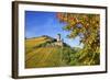 Ruin FŸrstenberg Castle Above the Town Rheindiebach Above Autumn-Coloured Vineyards-Uwe Steffens-Framed Photographic Print