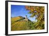 Ruin FŸrstenberg Castle Above the Town Rheindiebach Above Autumn-Coloured Vineyards-Uwe Steffens-Framed Photographic Print