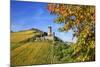 Ruin FŸrstenberg Castle Above the Town Rheindiebach Above Autumn-Coloured Vineyards-Uwe Steffens-Mounted Photographic Print