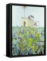 Ruin in a Swamp, Haiti, 1971-James Reeve-Framed Stretched Canvas