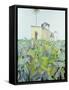 Ruin in a Swamp, Haiti, 1971-James Reeve-Framed Stretched Canvas