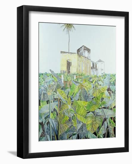 Ruin in a Swamp, Haiti, 1971-James Reeve-Framed Giclee Print