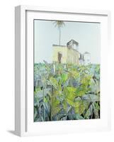 Ruin in a Swamp, Haiti, 1971-James Reeve-Framed Giclee Print