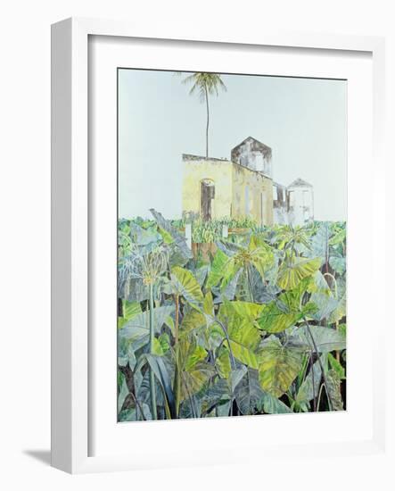 Ruin in a Swamp, Haiti, 1971-James Reeve-Framed Giclee Print