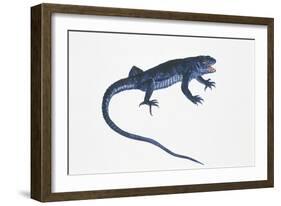 Ruin Lizard (Podarcis Sicula)-null-Framed Giclee Print