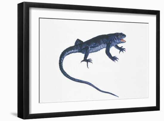 Ruin Lizard (Podarcis Sicula)-null-Framed Giclee Print