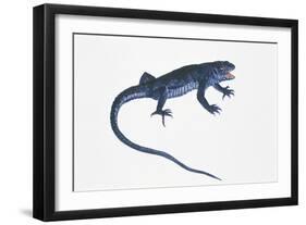 Ruin Lizard (Podarcis Sicula)-null-Framed Giclee Print